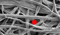 Cellulose fibers are inconsistent in size and shape, allowing more contaminants to pass through, resulting in higher restriction and lower capacity. 